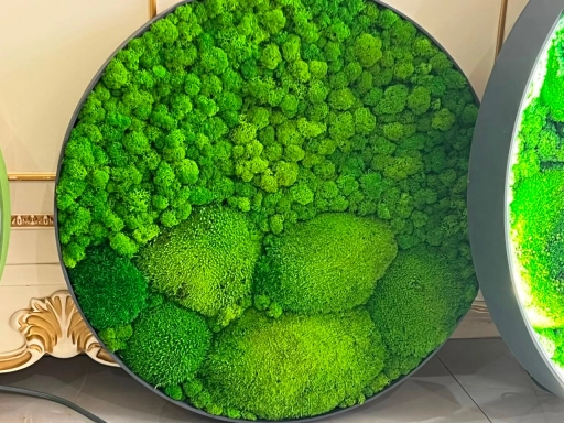 КАРТИНЫ С ПОДСВЕТКОЙ ИЗ МХА ДЕКОРАТИВНЫЕ