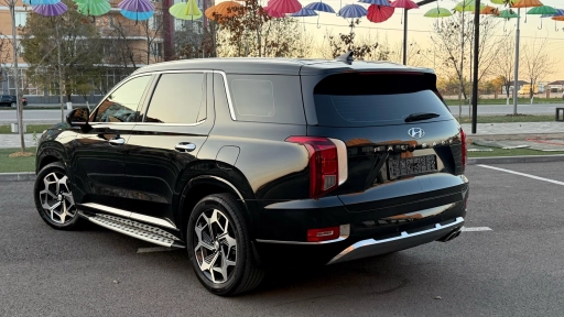 Hyundai Palisade, 2022, 60000км