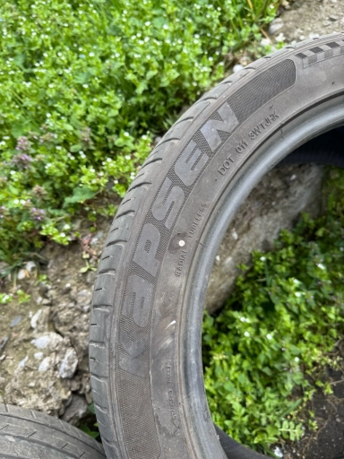 Шины капсен