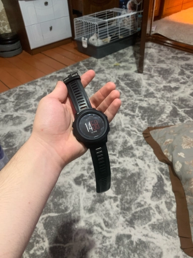 Garmin fenix3 sapfire