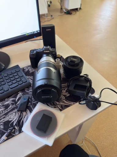 Canon r8 + canon 70-200 f/2.8