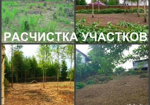 Расчистка участка