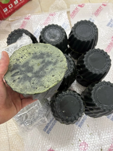 ЧЕРНОЕ МЫЛО ДЛЯ ВОЛОС ОРИГИНАЛ