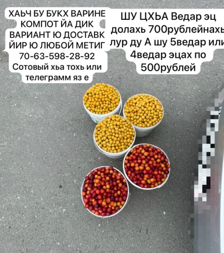 Хьач бу букхш борах