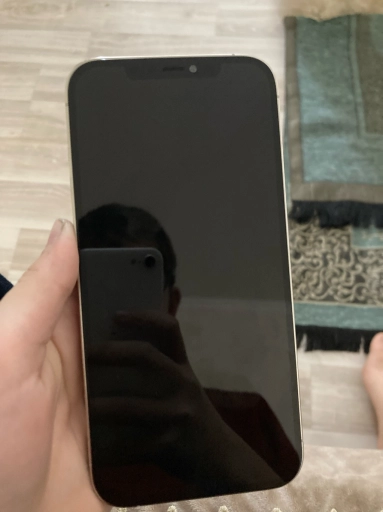 Айфон 12 про макс