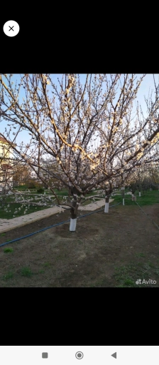 Дом, 110 м², Поселения (ИЖС), 20 сот