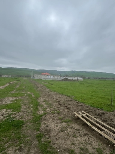 Участок, 8 сот, Поселения (ИЖС)