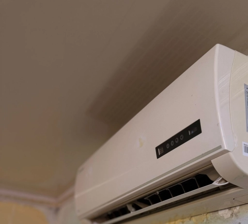 Фирма ‘bully’