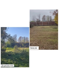 Расчистка Участка/Уборка участка/Спил деревьев