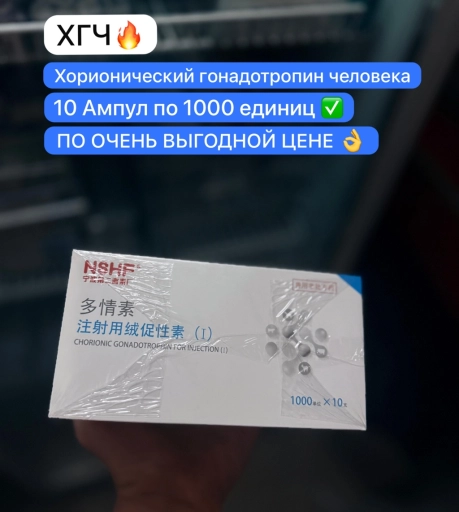 ХГЧ-Хорионический Гонадотропин Человека