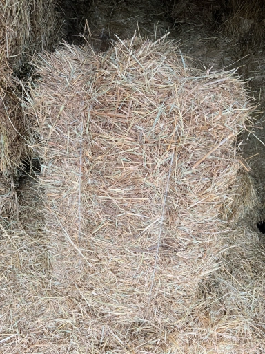 Сено в тюках разнотрав