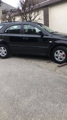Kia Sorento, 369000км