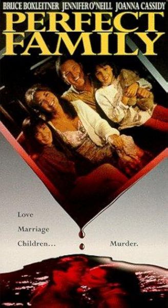 Идеальная семья