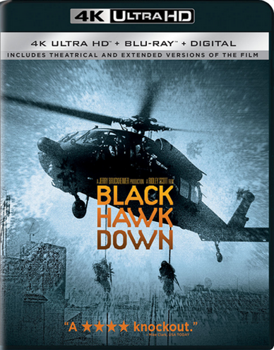 Чёрный ястреб