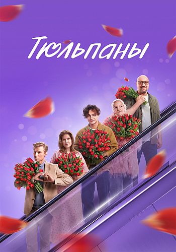 Тюльпаны