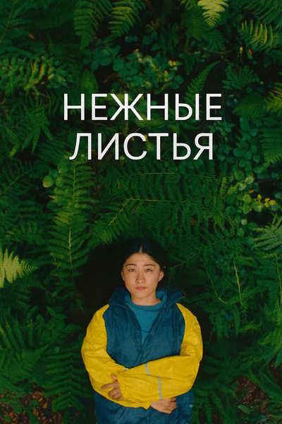 Нежные листья