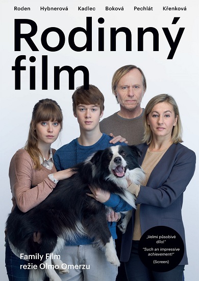 Семейный фильм