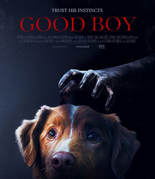 Глазами пса