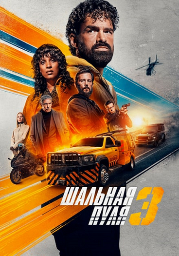 Шальная пуля 3