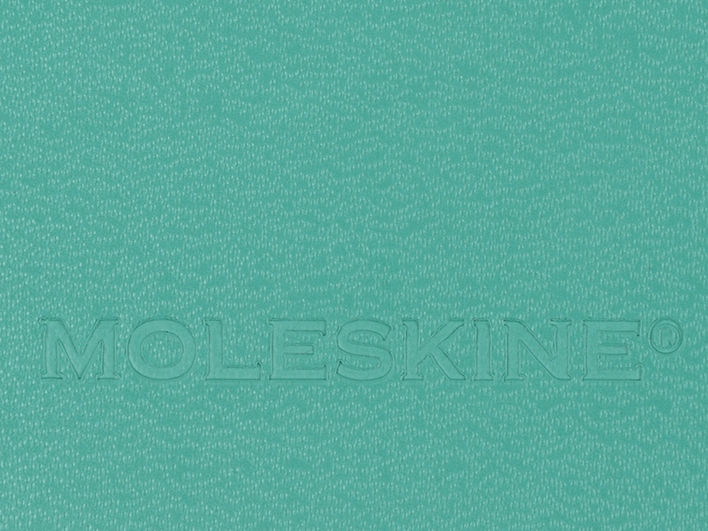 Записная книжка А5 (Large) Classic (в линейку)