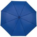 Зонт складной Monsoon
