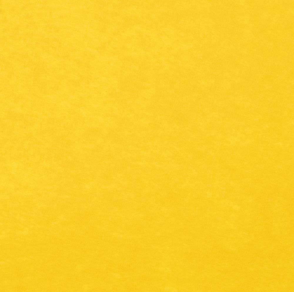 Заготовка из фетра Felt 50