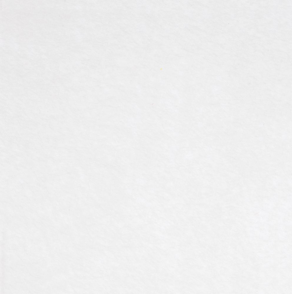 Заготовка из фетра Felt 100