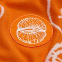 Заготовка из фетра Felt 100