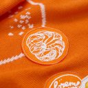 Заготовка из фетра Felt 100