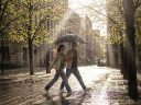 Зонт-трость Sombrella Зонт-трость Sombrella