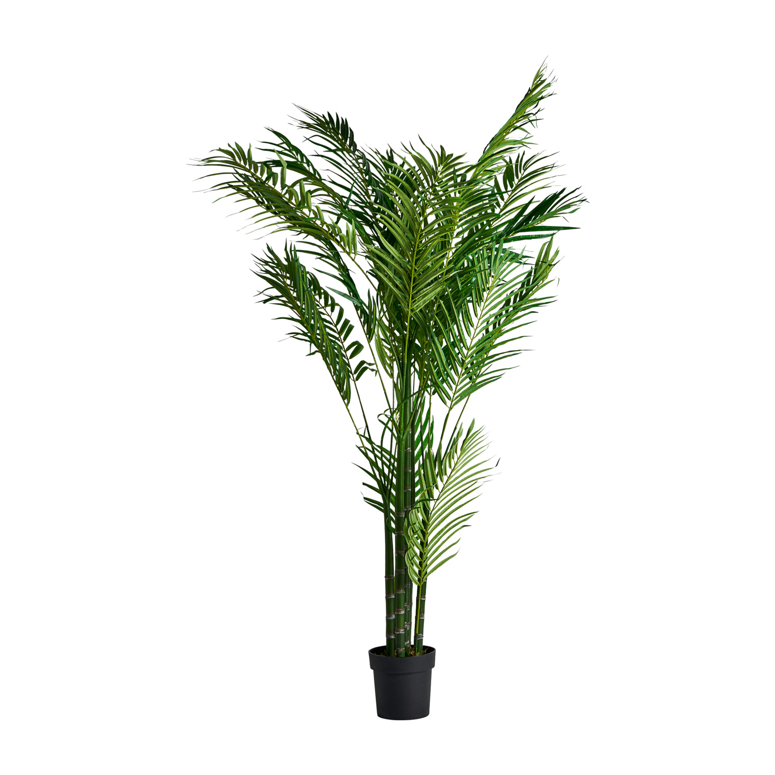Пальмовое растение искусственное PALMERA