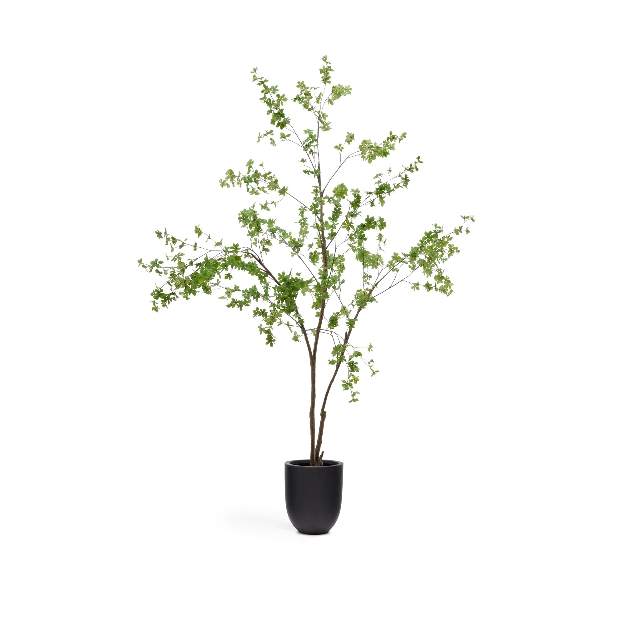 Enkianthus Искусственное дерево с черным горшком 214 см