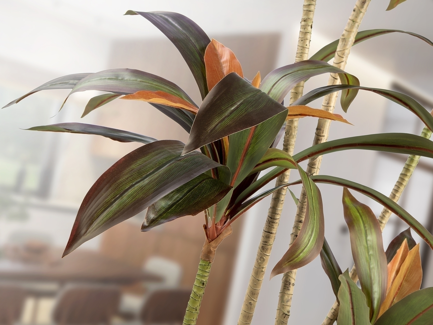 Dracena roja Искусственное растение H220