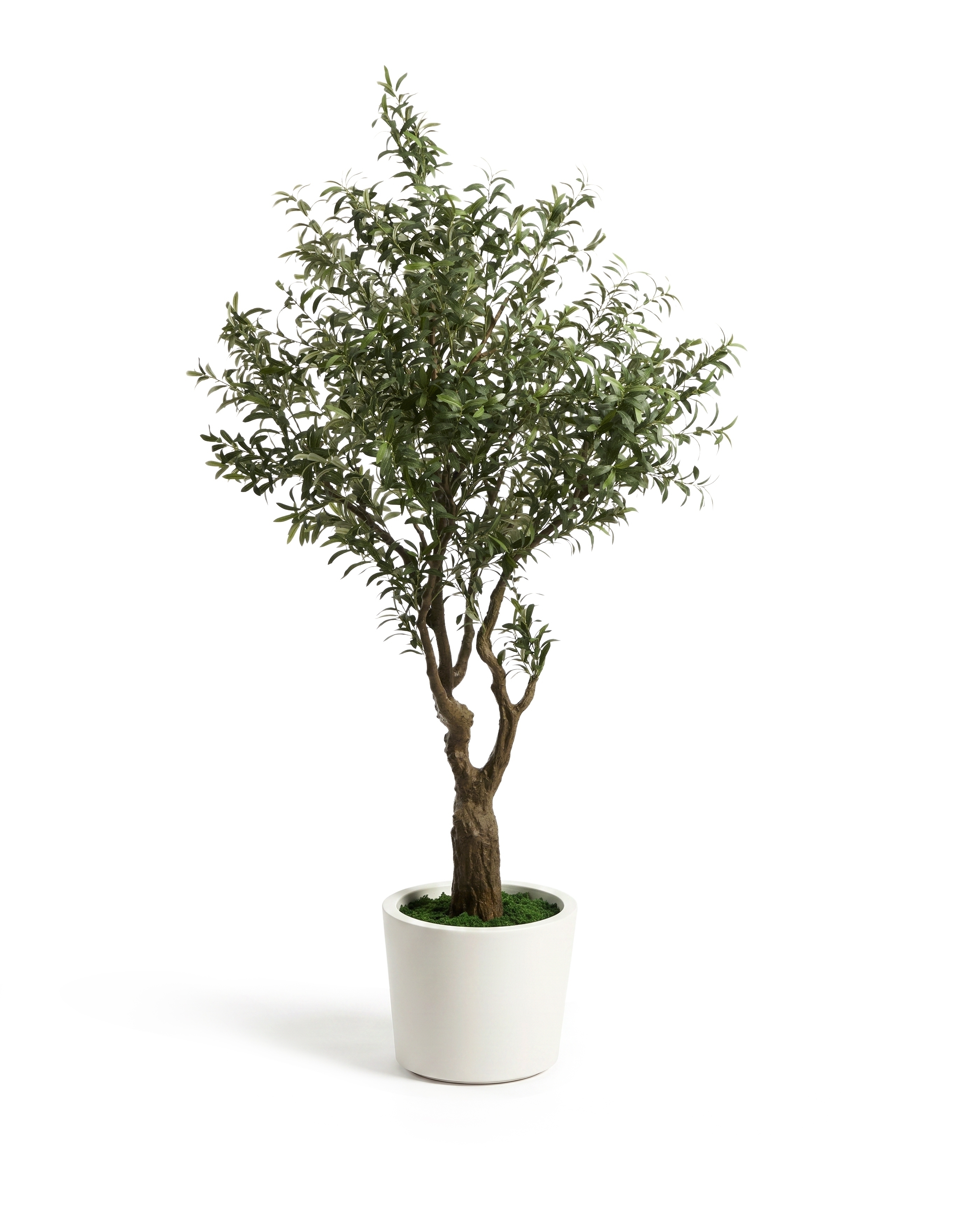 Искусственное дерево Artificial Olive в белом горшке, 210 см