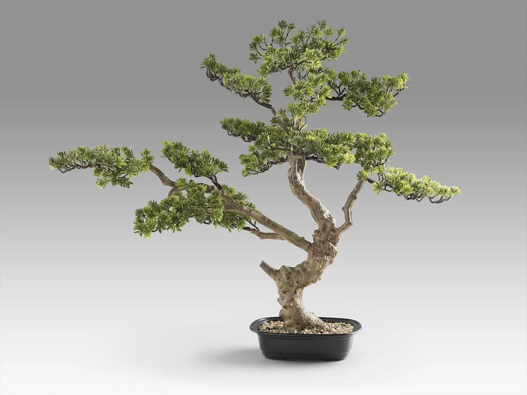 Sokan - bonsai 81cm Искусственное растение