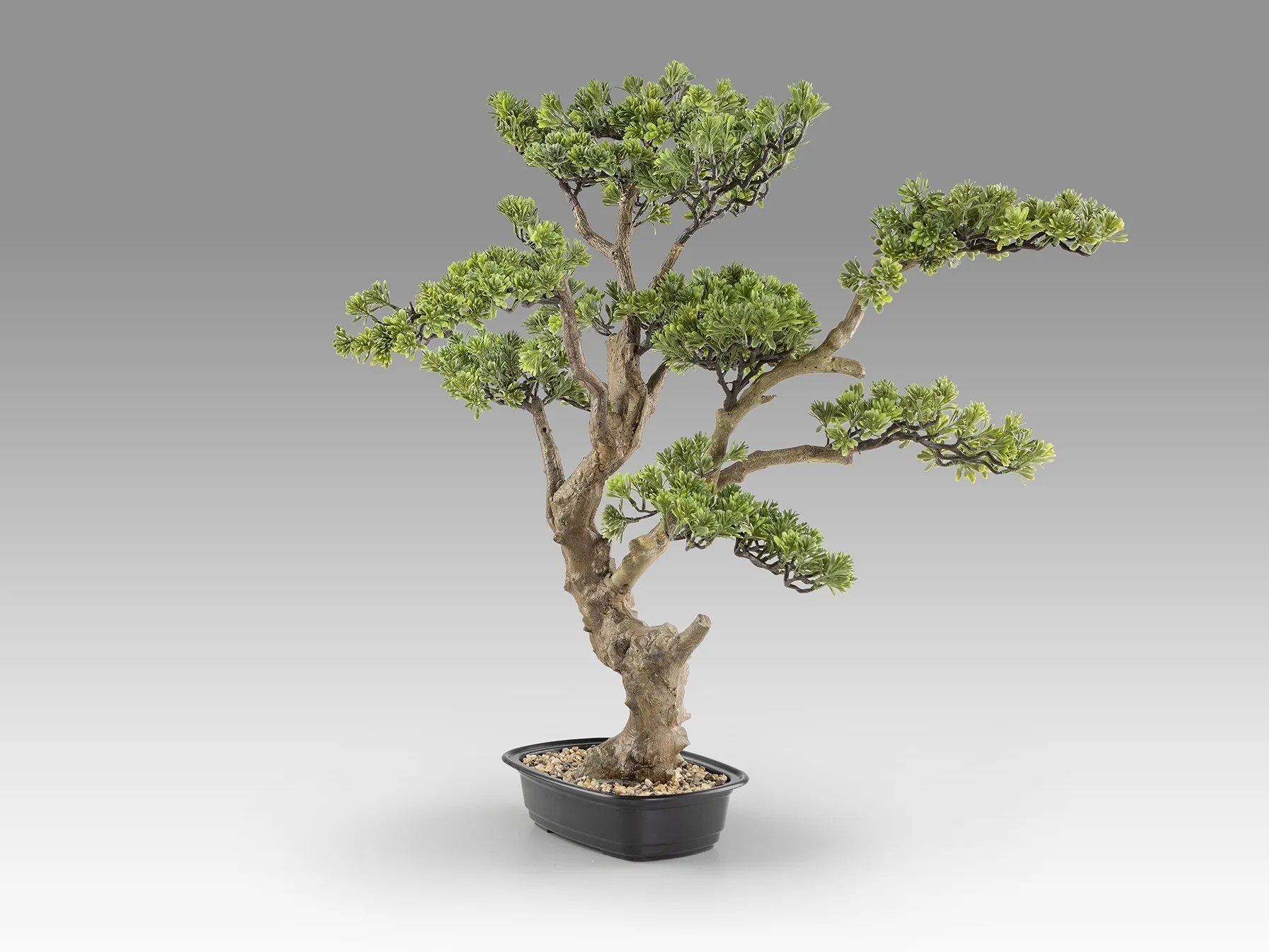 Sokan - bonsai 81cm Искусственное растение