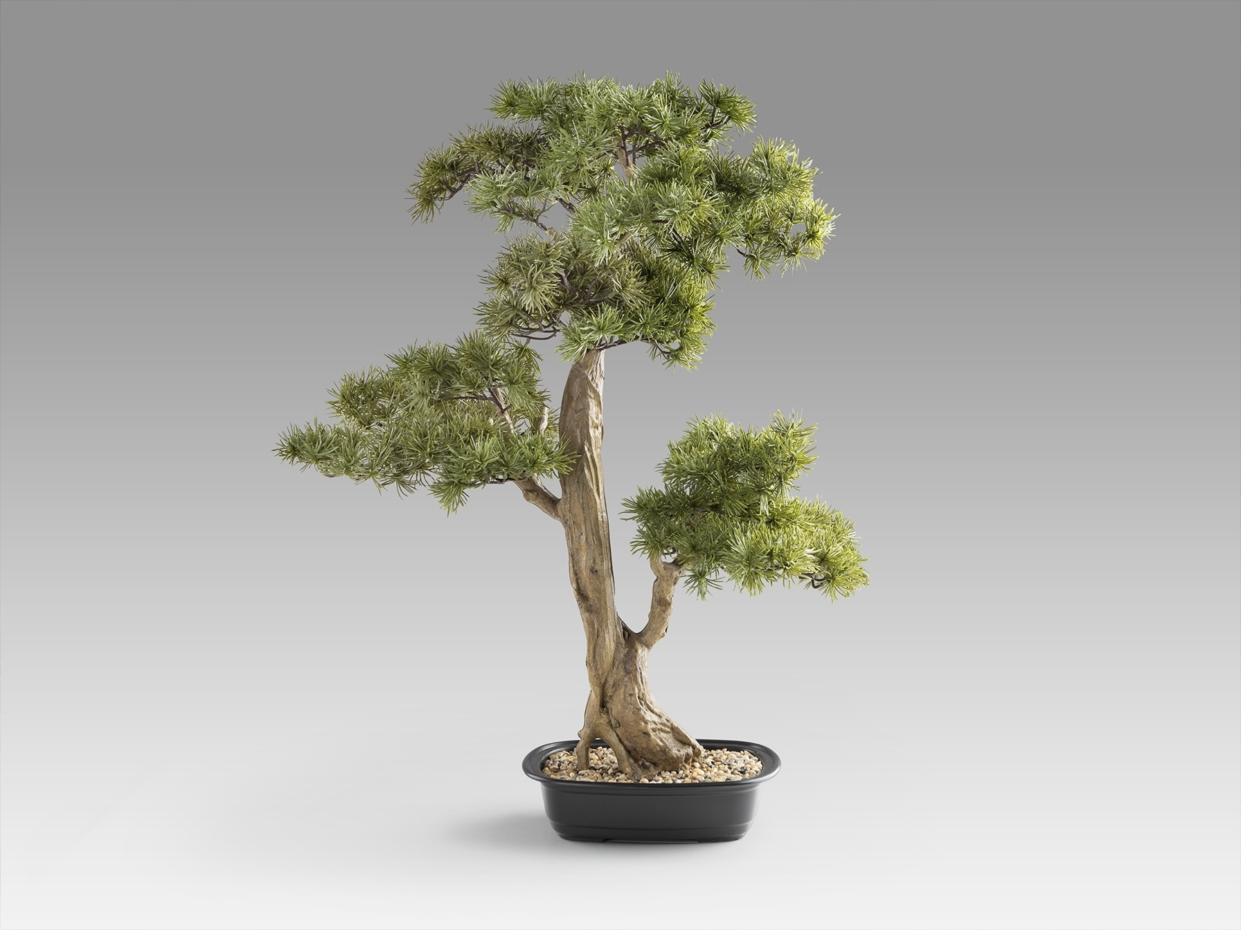 Chokkan - bonsai 83cm Искусственное растение из 2 предметов