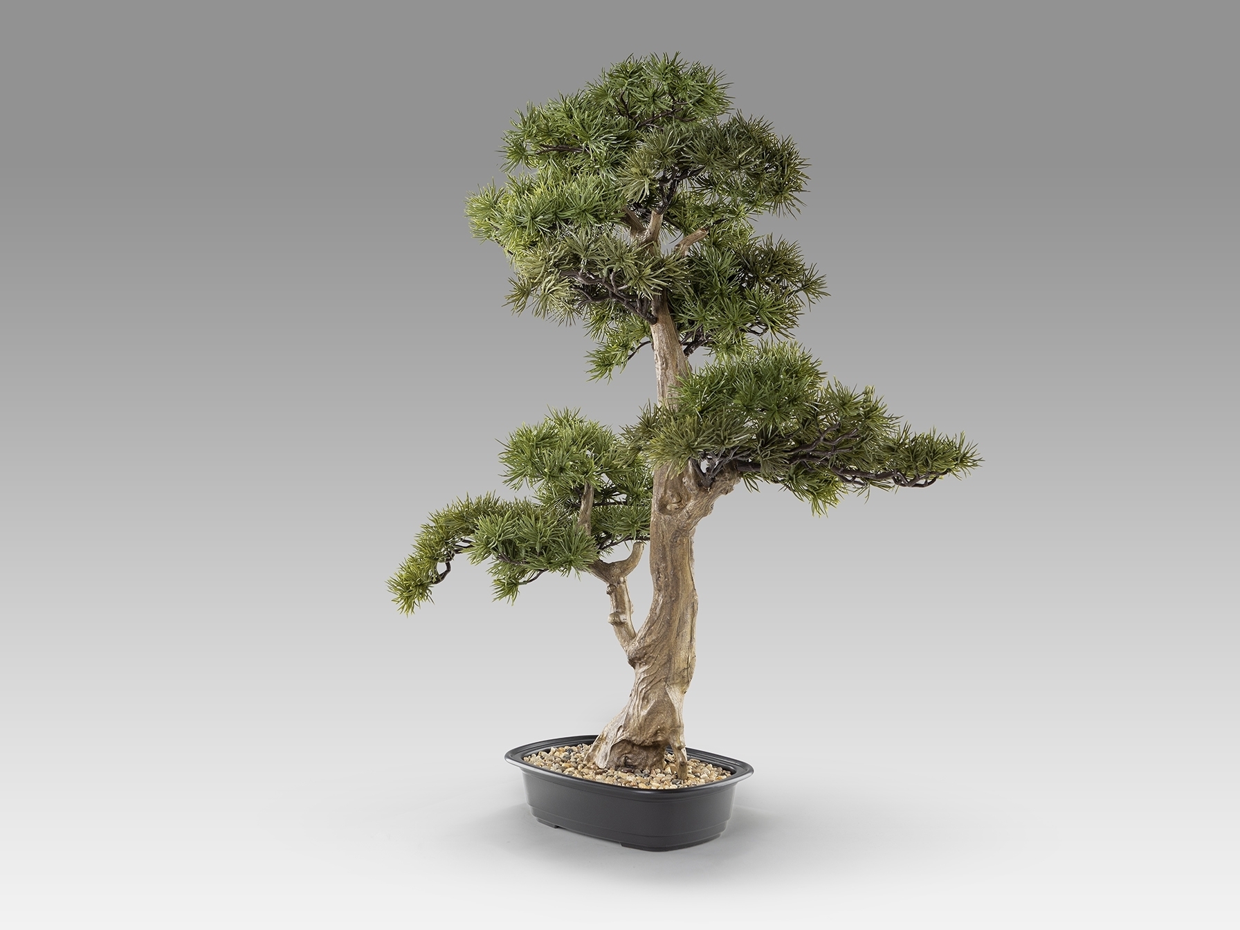 Chokkan - bonsai 83cm Искусственное растение из 2 предметов