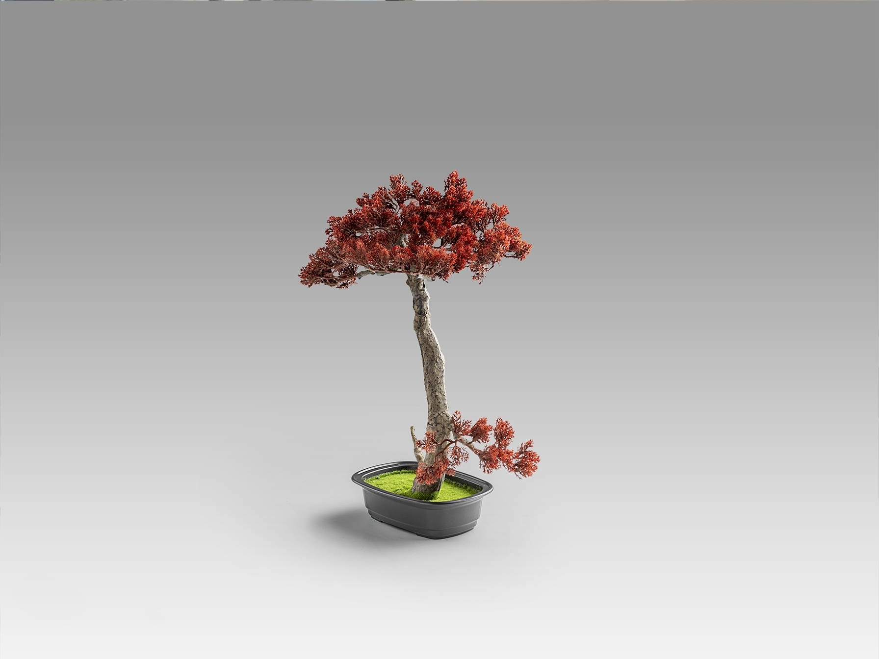 Bujin-hi bonsai 45cm Искусственное растение
