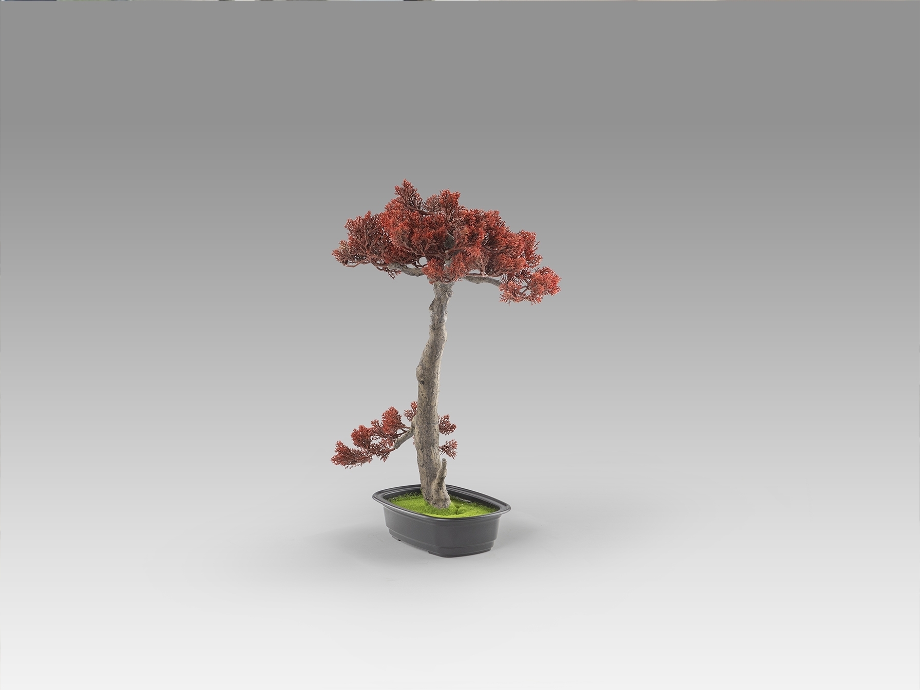 Bujin-hi bonsai 45cm набор из 2 предметов