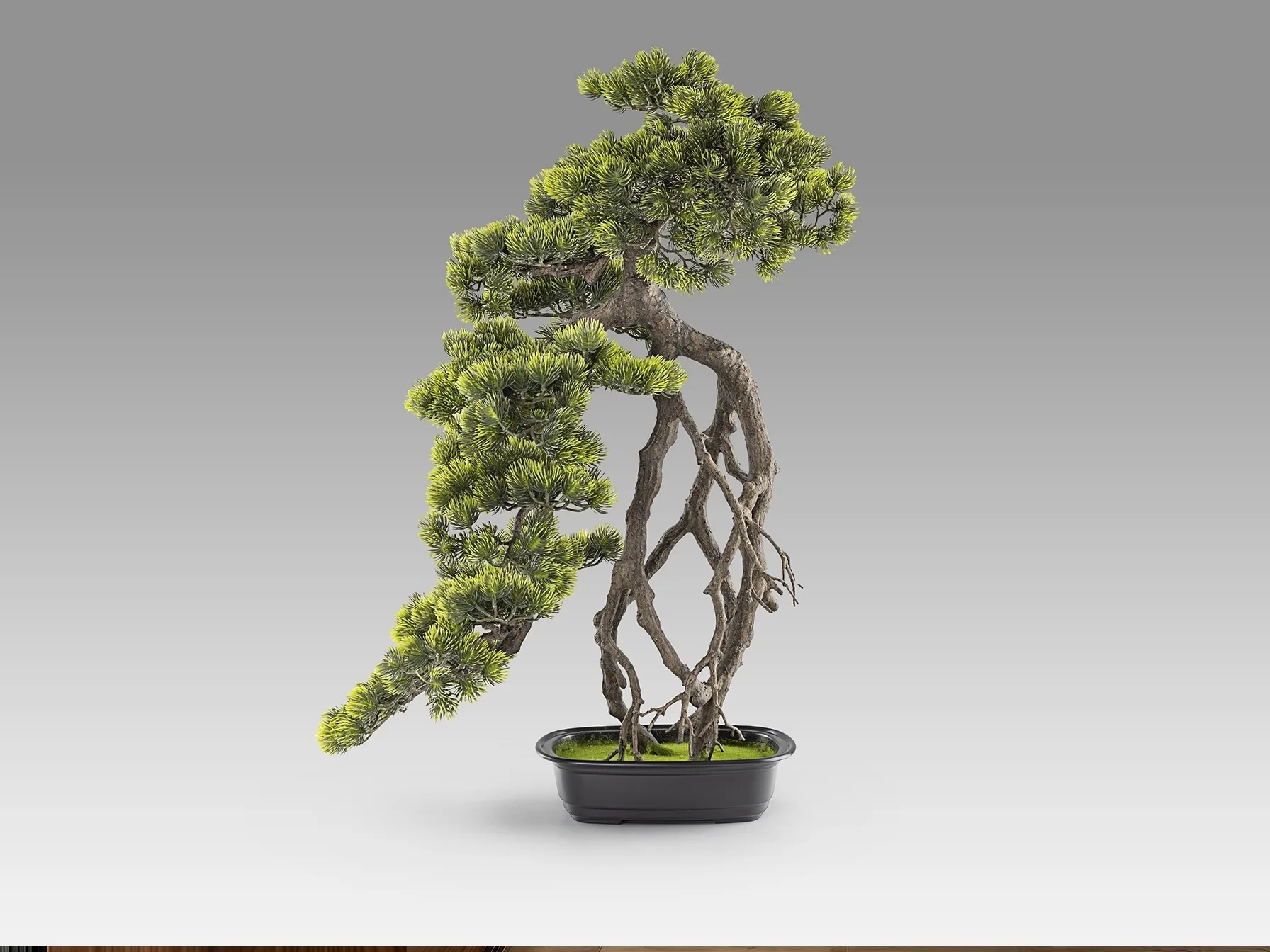 Kengai bonsai 74CM Искусственное растение