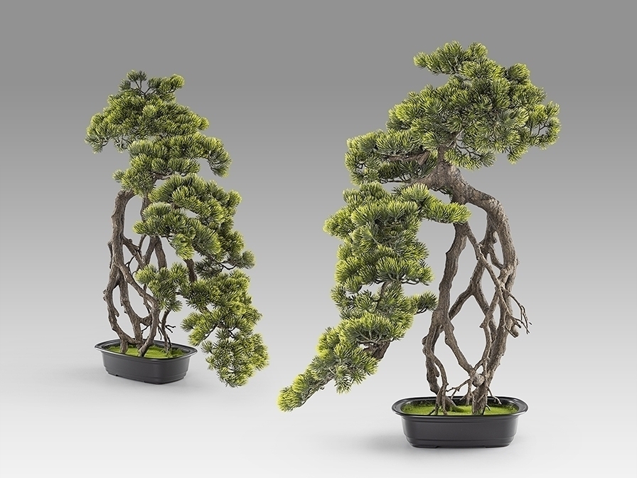 Kengai bonsai 74см Искусственное растение из 2 предметов