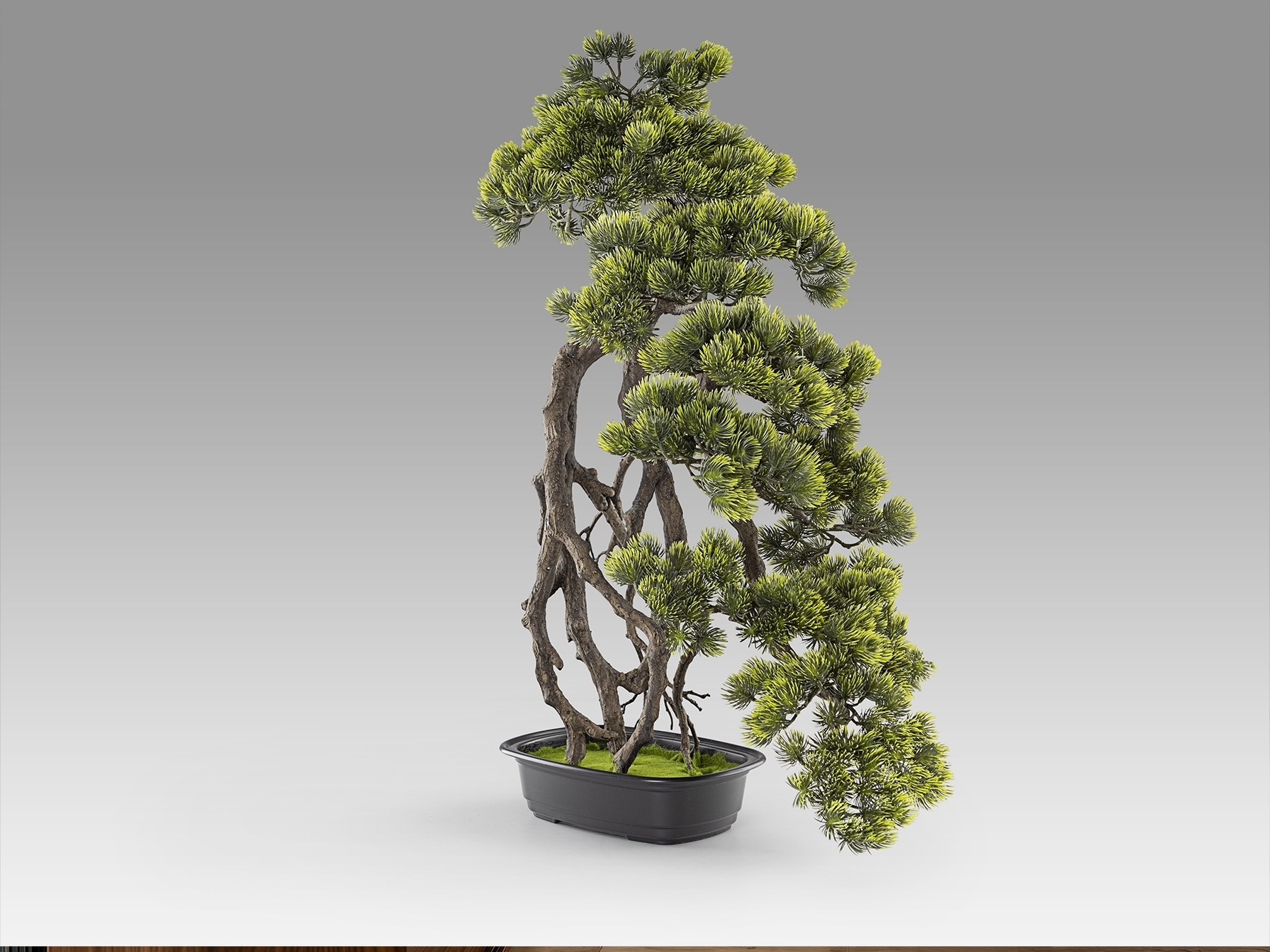Kengai bonsai 74см Искусственное растение из 2 предметов