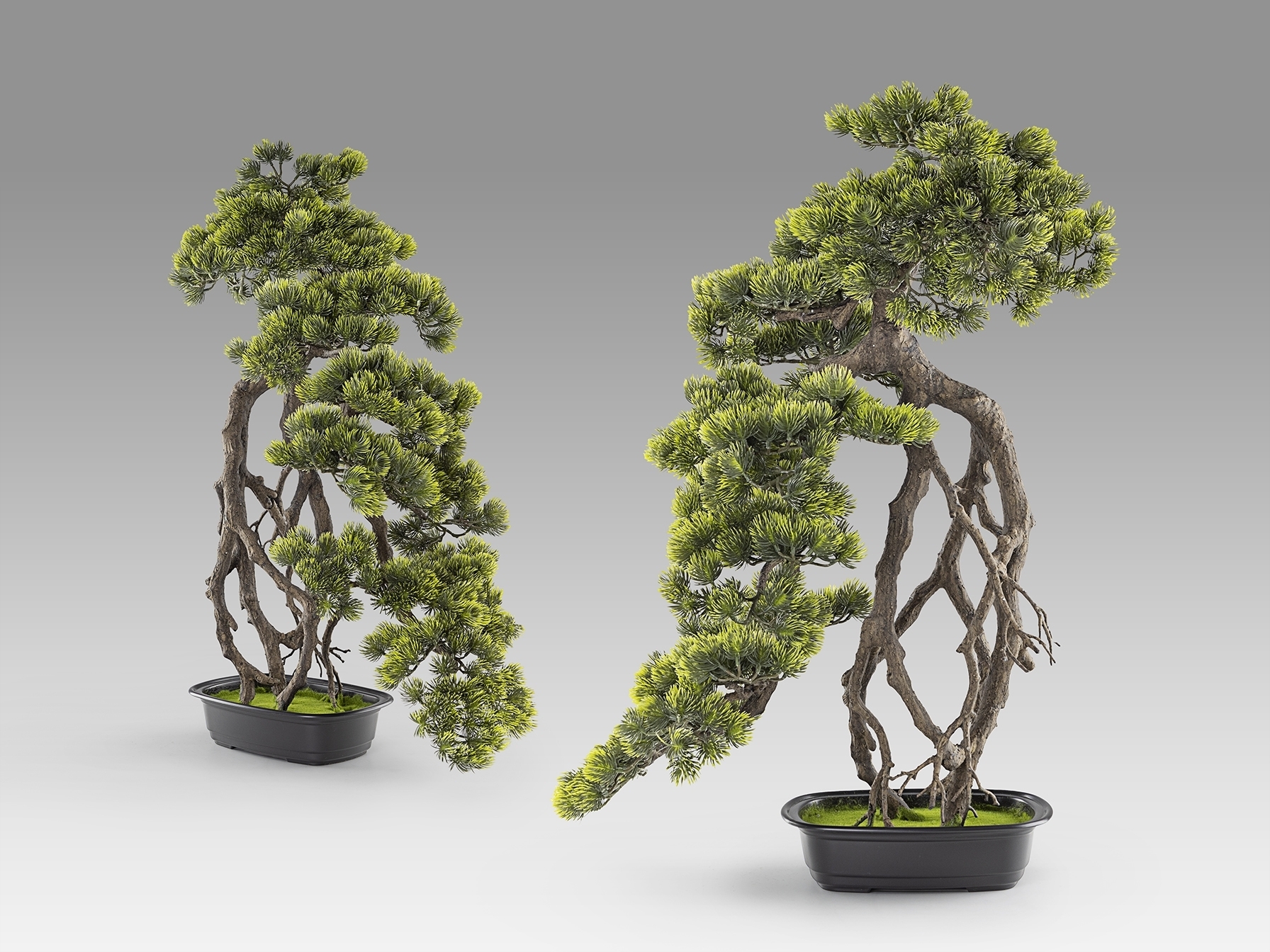 Kengai bonsai 74см Искусственное растение из 2 предметов