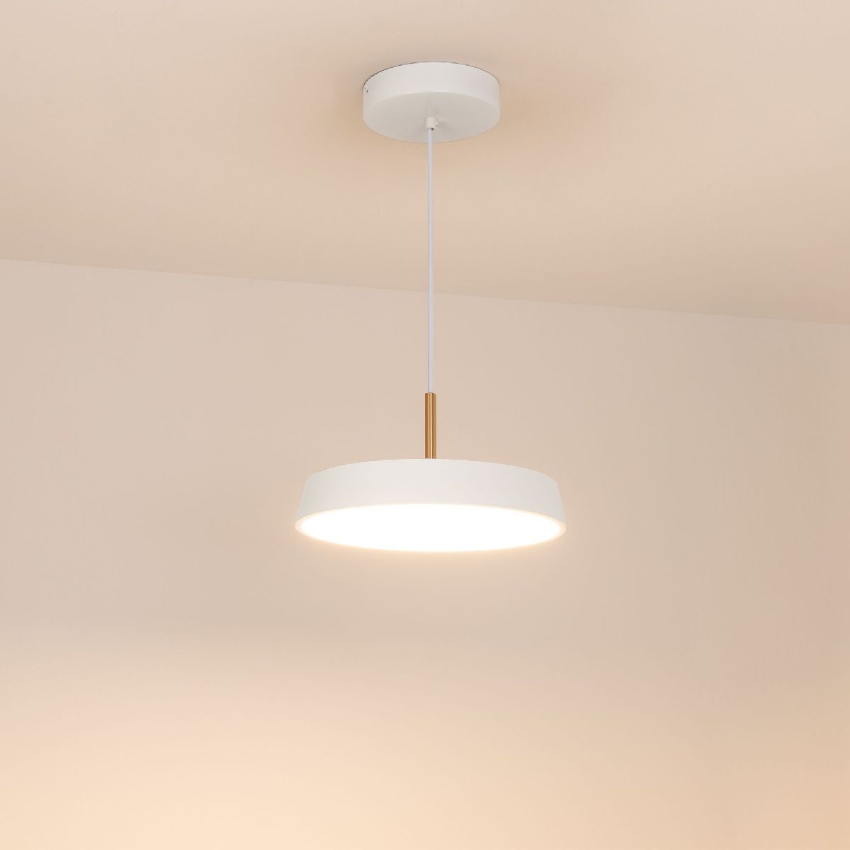Подвесной светильник SP-ELEGANT-R300-17W Warm3000 (WH, 120 deg, 230V) 033914(1)