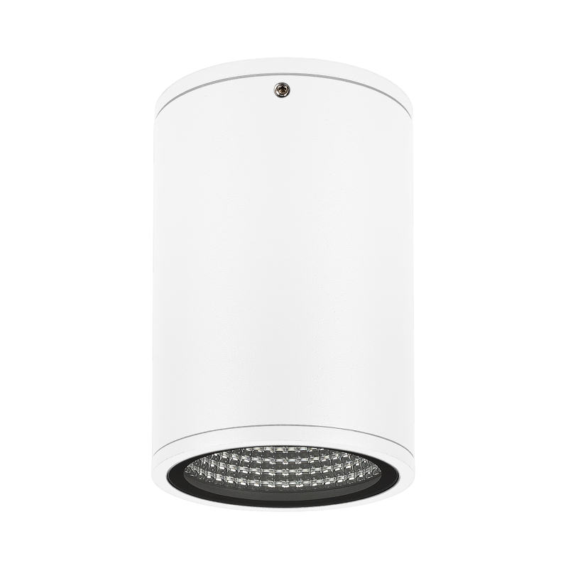 Уличный потолочный светильник LGD-Forma-Surface-R90-12W Day4000 037259