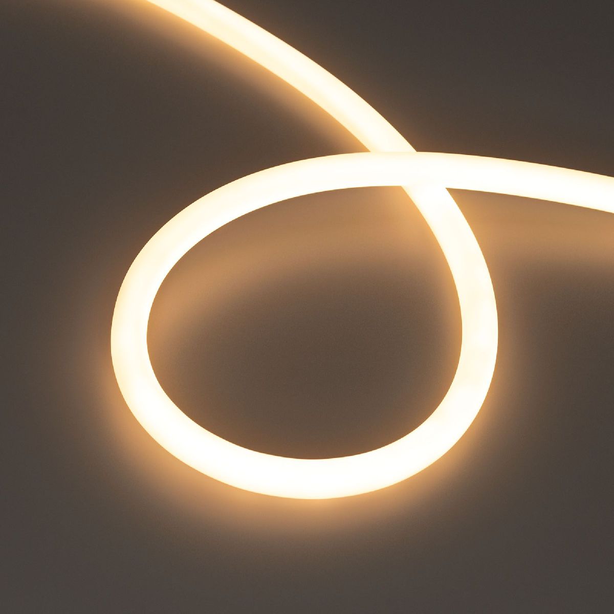 Светодиодная лента герметичная MOONLIGHT-TOP-S-M560-D13mm 24V Warm2700 (13 W/m, IP65, 5m, wire x1, трос) 043815