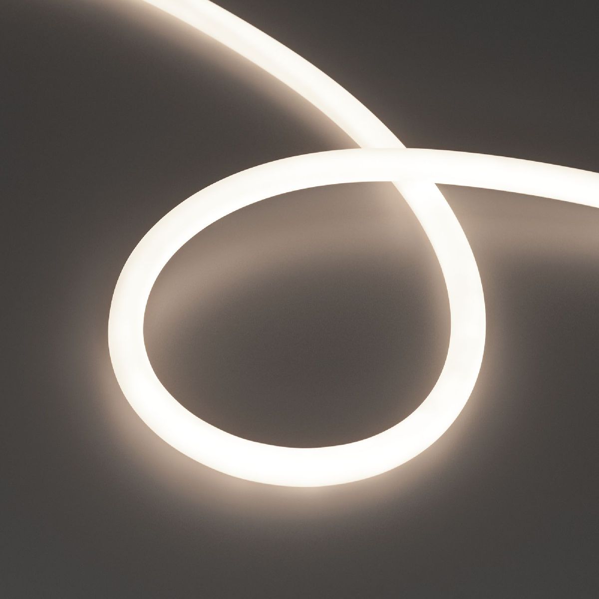 Светодиодная лента герметичная MOONLIGHT-TOP-S-M560-D13mm 24V Day4300 (13 W/m, IP65, 5m, wire x1, трос) 043817