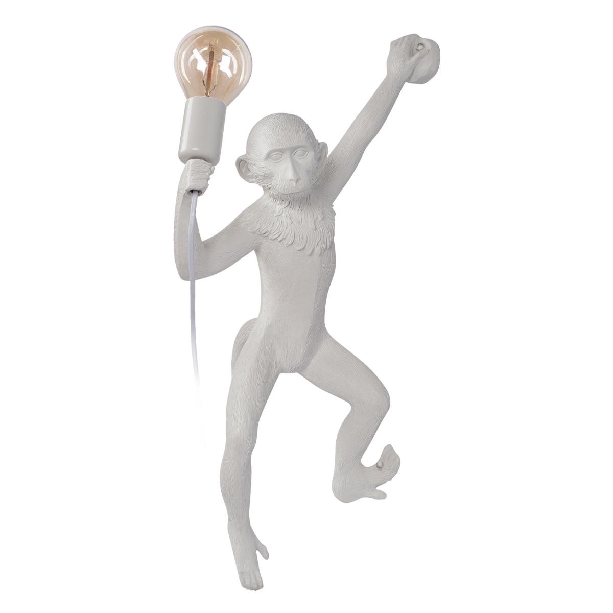 Настенный светильник Monkey 10314W/A