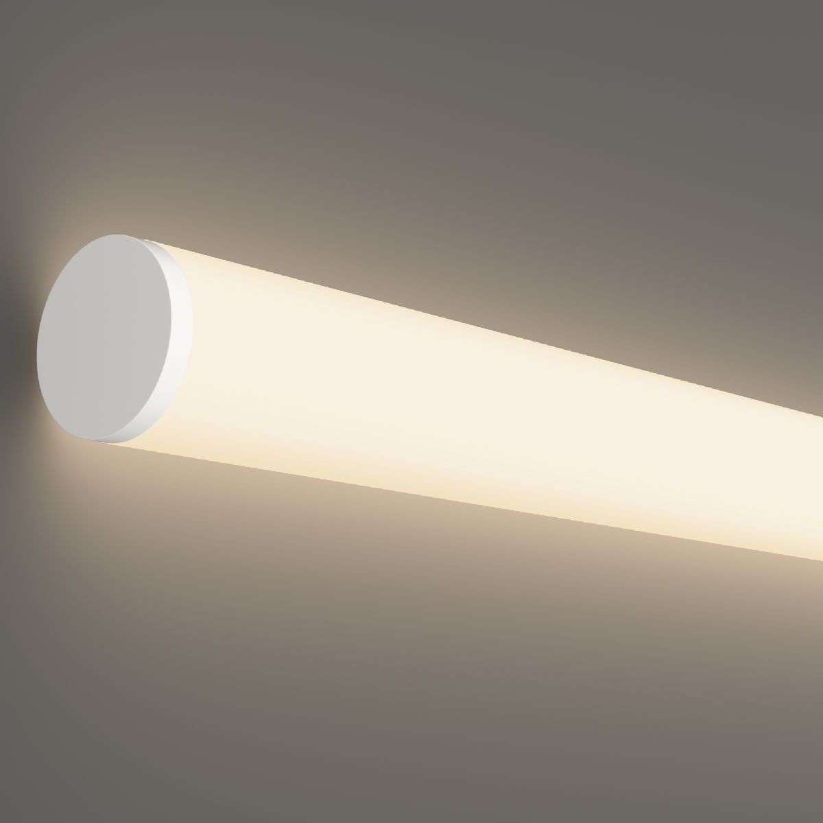 Гибкий неон Led Strip 24В 2835 14,4Вт/м 4000К 5м IP65 20302